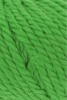 1000.0016 - Gras
