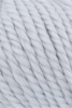 1000.0020 - Ice