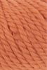 1000.0059 - Kürbis