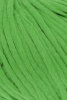 1013.0017 - Cucumber