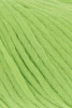 1013.0044 - Lime