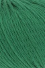 1014.0016 - Avocado
