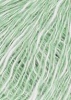 1071.0091 - salbei