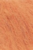 1084.0059 - pumkin