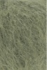 1084.0118 - spirulina