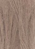 1085.0039 - camel