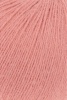 1087.0028 - lachs