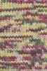 1098.0004 - beere/olive