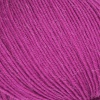 03 - fuchsia