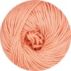 232 - Apricot