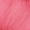 234 - Fuchsia