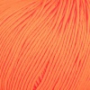 240 - Orange