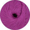 14 - Fuchsia