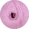 22 - Rosa