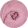 26 - Altrose