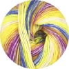 131 - Gelb/Blau/Lila