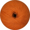 14 - orange