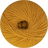 16 - Ocker