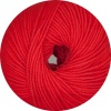 21 - Signalrot