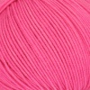 71 - Fuchsia
