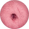 16 - rosa