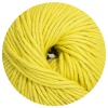 34 - kiwi