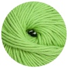 52 - apfel