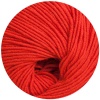21 - Rot