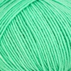 236 - Mint
