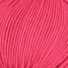 249 - Fuchsia