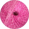 106 - Rosa degrade