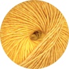 108 - Gelb degrade