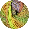 170 - Kiwi/Orange/Grün/Rost/Khaki