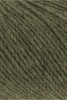1103.0099 - olive