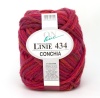 Artikelbild 1 des Artikels “ONline Linie 434 Conchia “