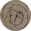 06 - Taupe