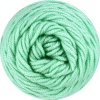 20 - Mint
