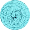 29 - Mint