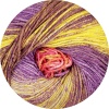 113 - gelb/violett/rot/braun