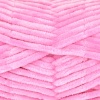 21 - Rosa