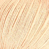 01 - Apricot