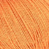 04 - Orange