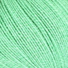 05 - Mint