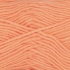 03 - Apricot