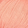 03 - Apricot