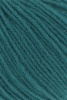 1116.0088 - petrol