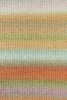 1121.0009 - regenbogen