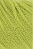 1124.0116 - matcha