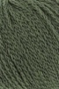1124.0217 - fern