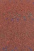 1127.0015 - nougat